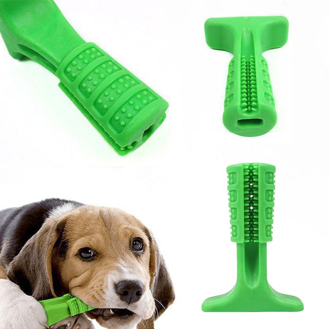 Brinquedo Mordedor Escova De Dente Para Cachorro G Dog